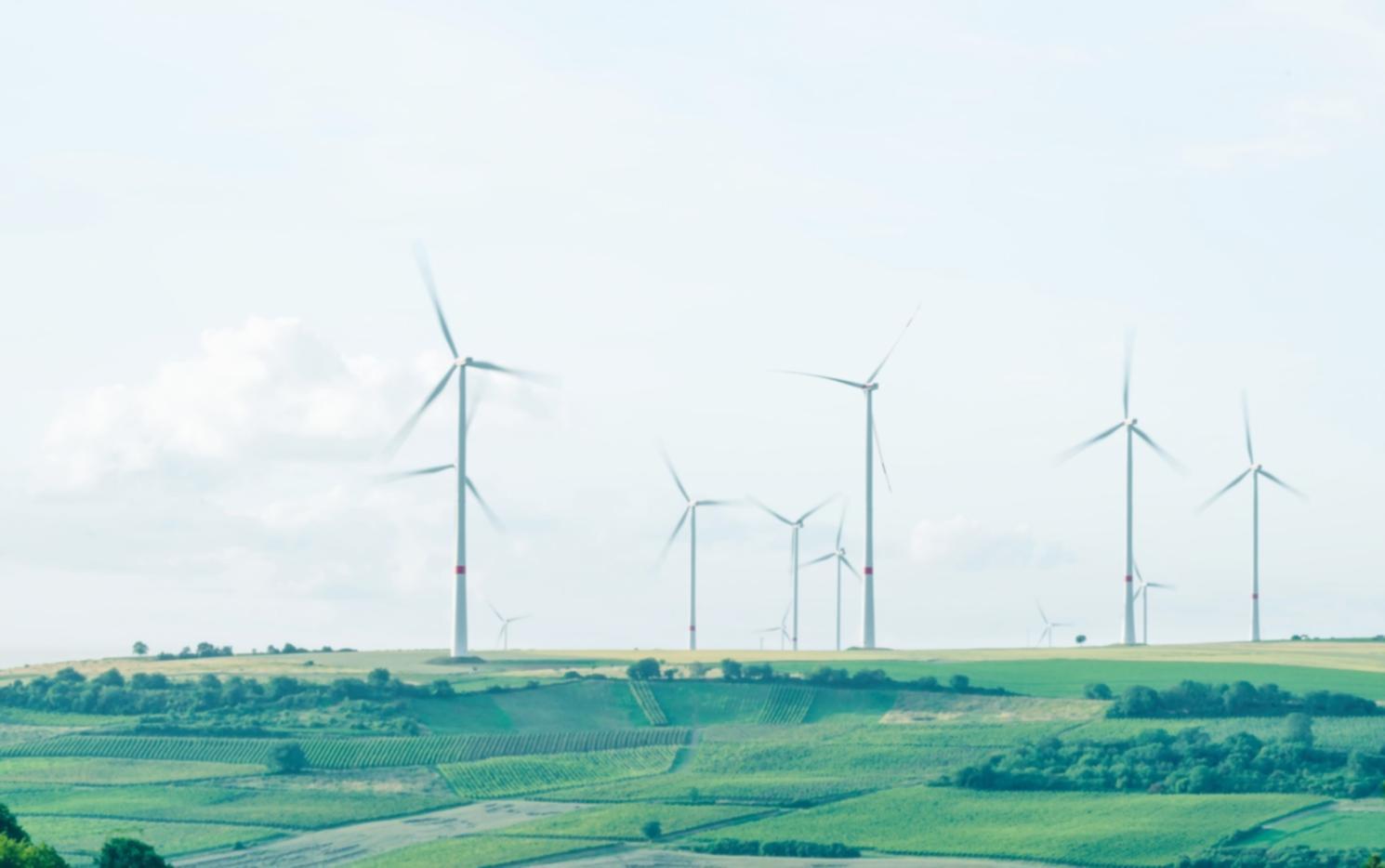 Session de formation interactive sur l'énergie durable